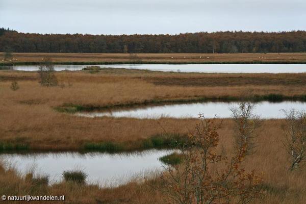 Отель Holiday Home Haulervaart Waskemeer