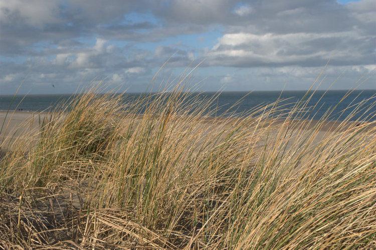 Отель Holiday Home T Zeehuuske Brouwershaven