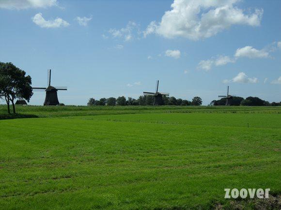 Отель De Gouden Karper
