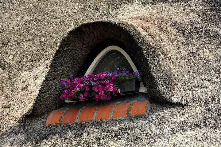 Отель Hotel Restaurant Het Rietendak