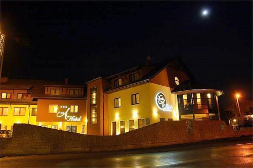 Отель Hotel Azalia