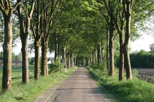 Отель Holiday Home De Hoeve Hoogeloon