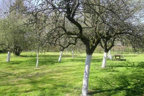 Апартаменты Holiday Home Le Patronage Roumont