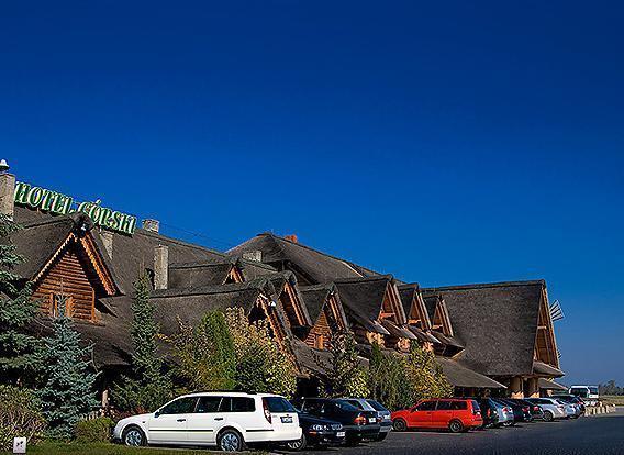 Отель Hotel Górski