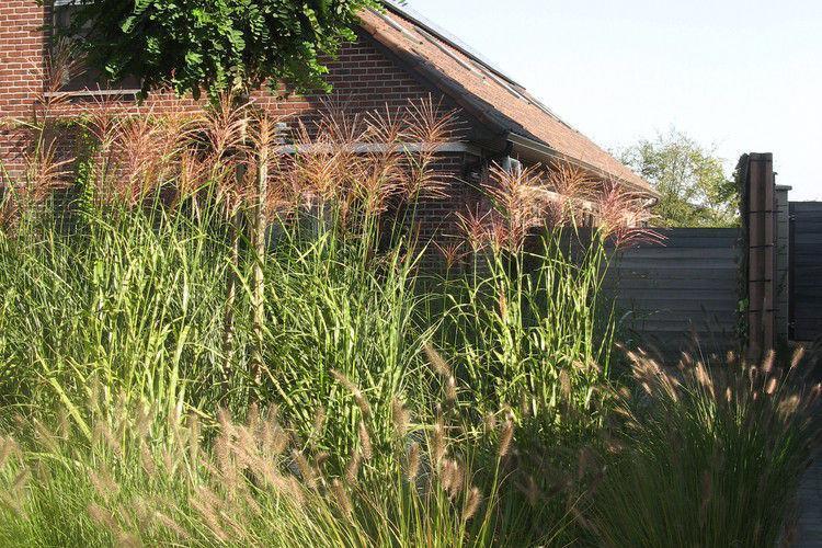 Апартаменты Holiday Home Eden Ten Briel Hillegem