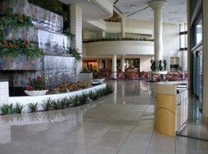 Отель Sheraton Tampa East Hotel