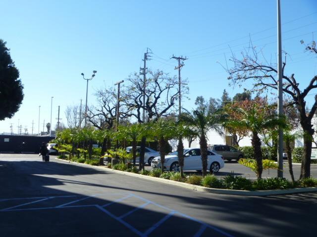 Отель Holiday Inn Express VAN NUYS