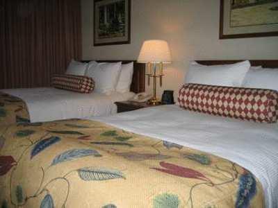 Отель Hilton Suites Auburn Hills