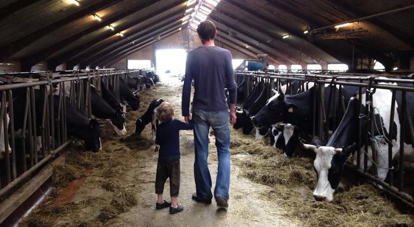 Отель Kristiansminde Farm Holiday