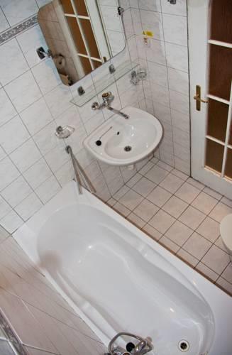 Отель Hotel U Zelenej Lipy