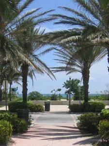 Hawaii Hotel