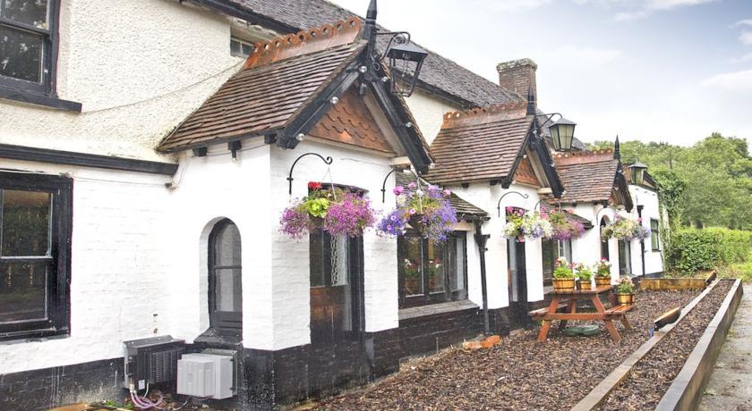 Отель The May Garland Inn