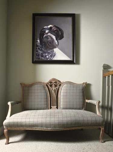 Отель The Red Kite Organic B&B