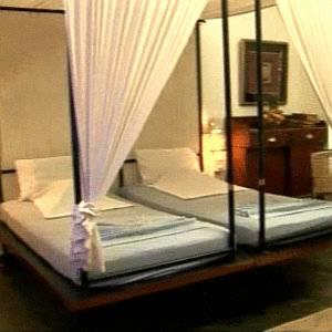 Отель The Plantation Hotel