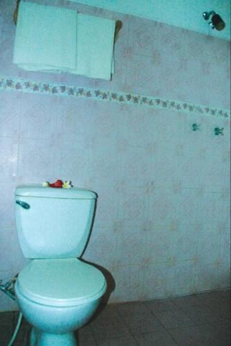 Отель Satrya Ayu Hotel