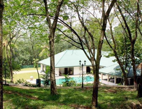 Отель Rock Chalet