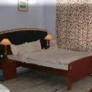 Отель Hotel New Mamta
