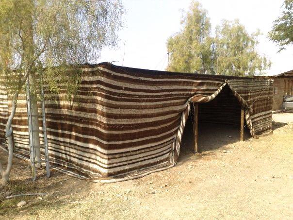 Хостел Desert Ashram
