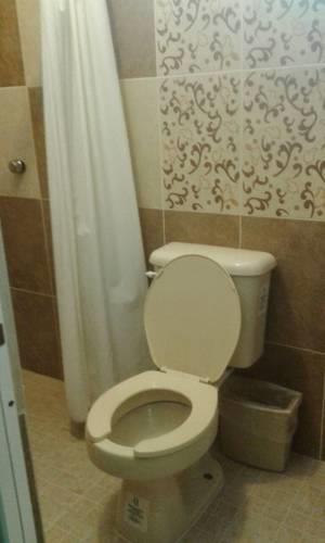 Отель Hotel Alex