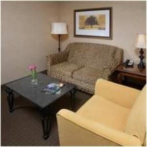 Отель DoubleTree by Hilton Detroit Novi