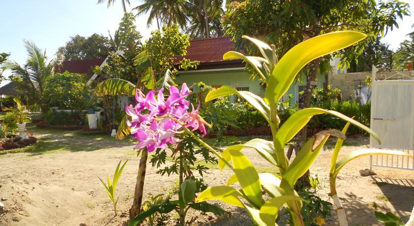 Отель Bunny's Beach Resort
