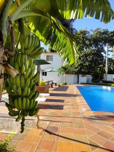 Отель Hotelito Oasi Italiana