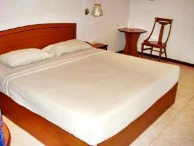 Отель Penuin Hotel