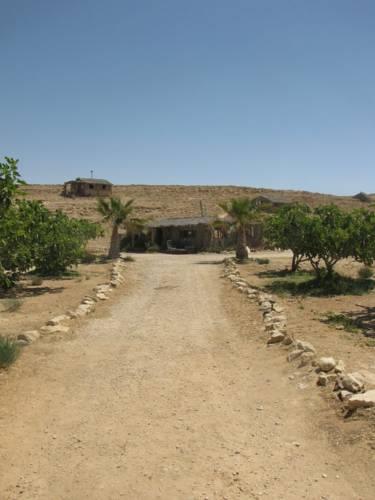 Хостел Succah in the Desert