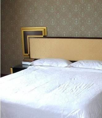 Отель Shanghai Xinjiangnan Hotel
