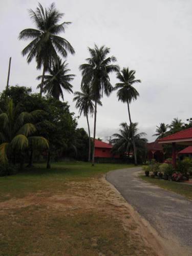 Отель Ummi Homestay