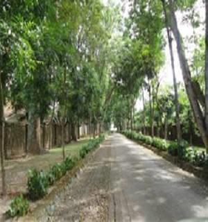 Отель Tamarind Tree Hotel