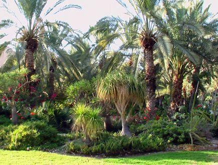 Отель Ein Gedi Kibbutz Hotel