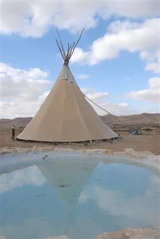 Отель Desert Olive Farm