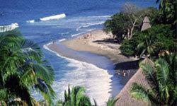 Хостел The Amazing Hostel Sayulita