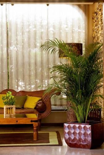 Отель Casablanca Inn