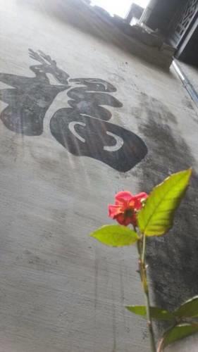Отель Hongcun Xiaotaoyuan Inn