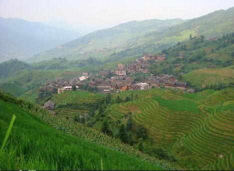 Отель Zhen Chen Resort