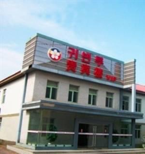 Отель Longjing International Hotel & Spa