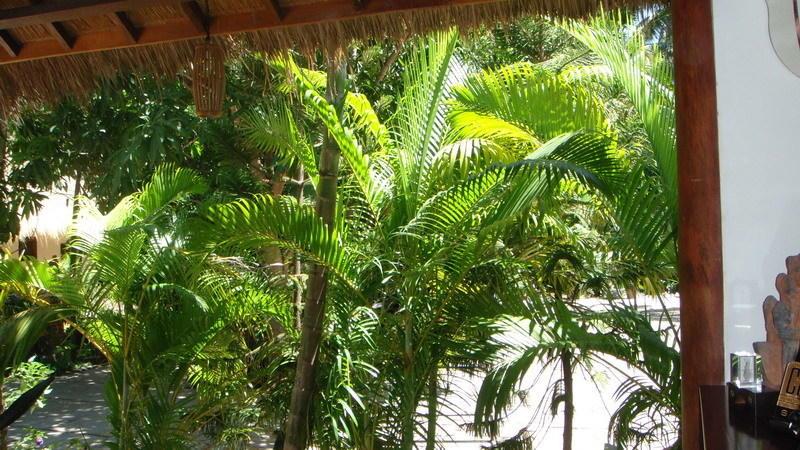 Cham Villas Resort