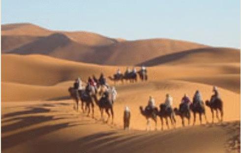 Sahara
