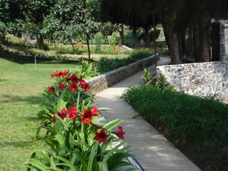 Отель Tangko Inn Resort