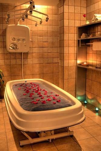 Отель Hotel Las Rosas & Spa