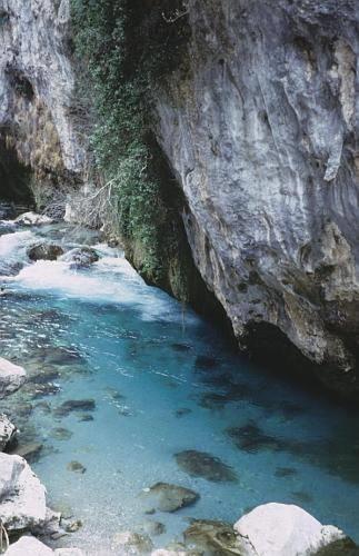 Отель Hotel Picos De Europa