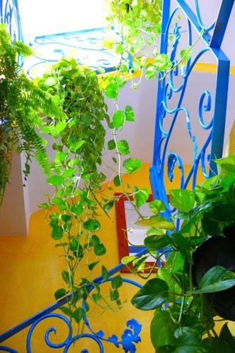 Гостевой дом Surf House San Pancho