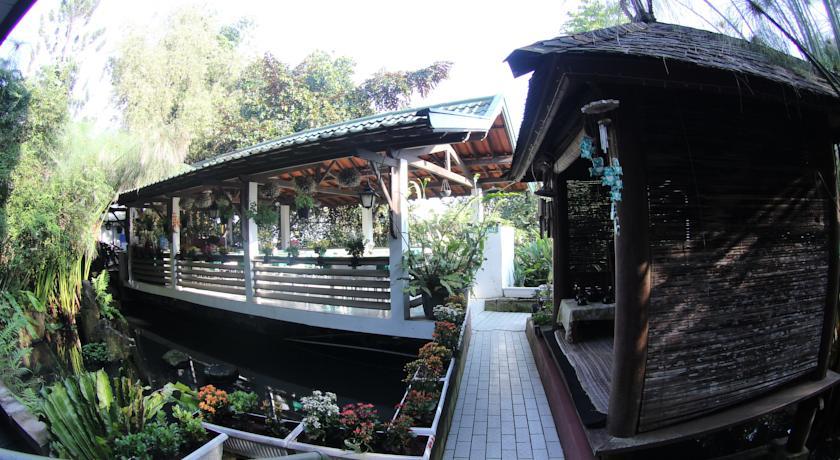 Отель Buena Vista Boutique Hotel