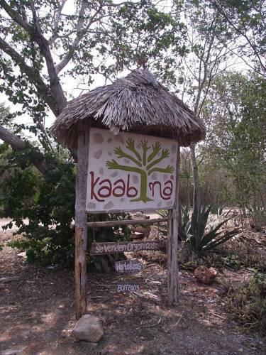 Отель Cabañas Kaab Na