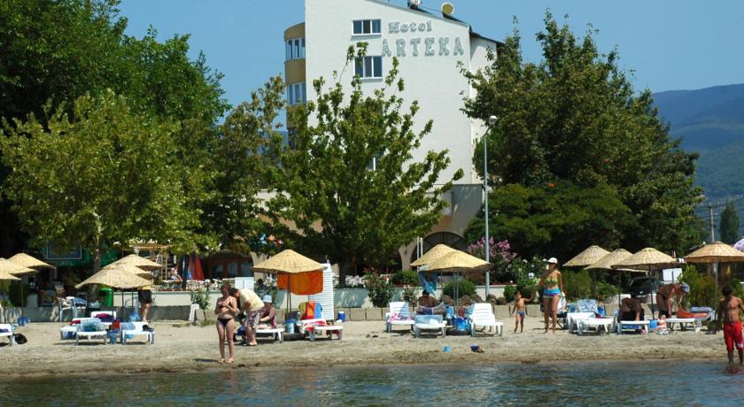 Отель Hotel Arteka