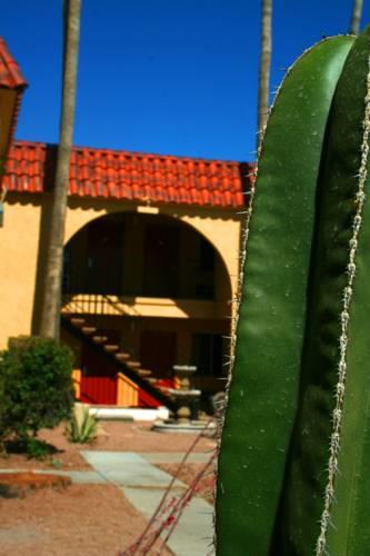 Отель Super 8 Bell Hotel Phoenix