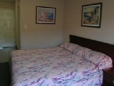 Отель Savannah Suites - Stone Mountain