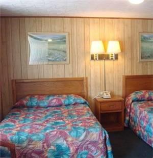 Отель Elmwood Motor Lodge